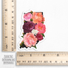 Indiana Peonies Sticker